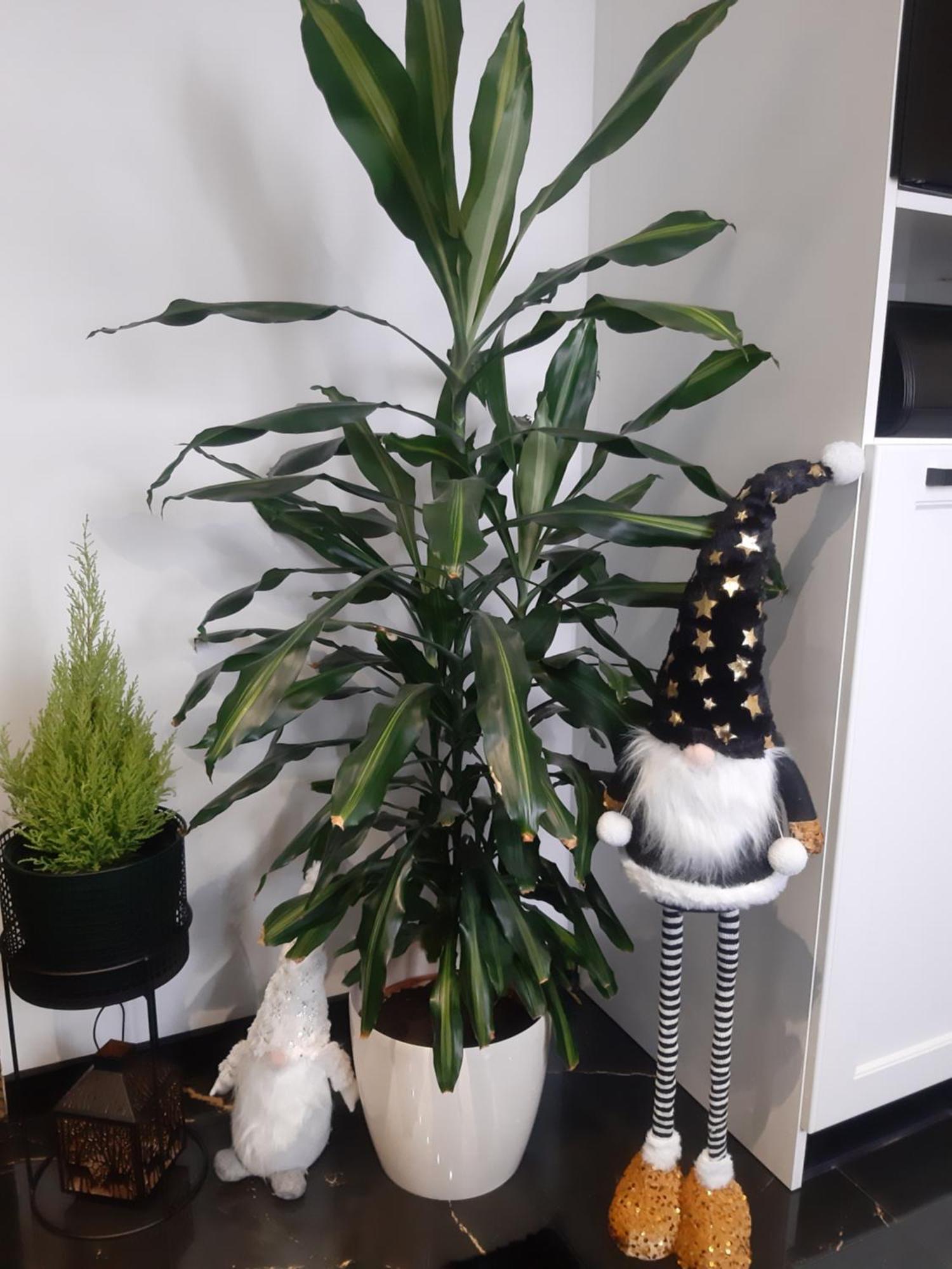 Apartment Gorski Potok Pl