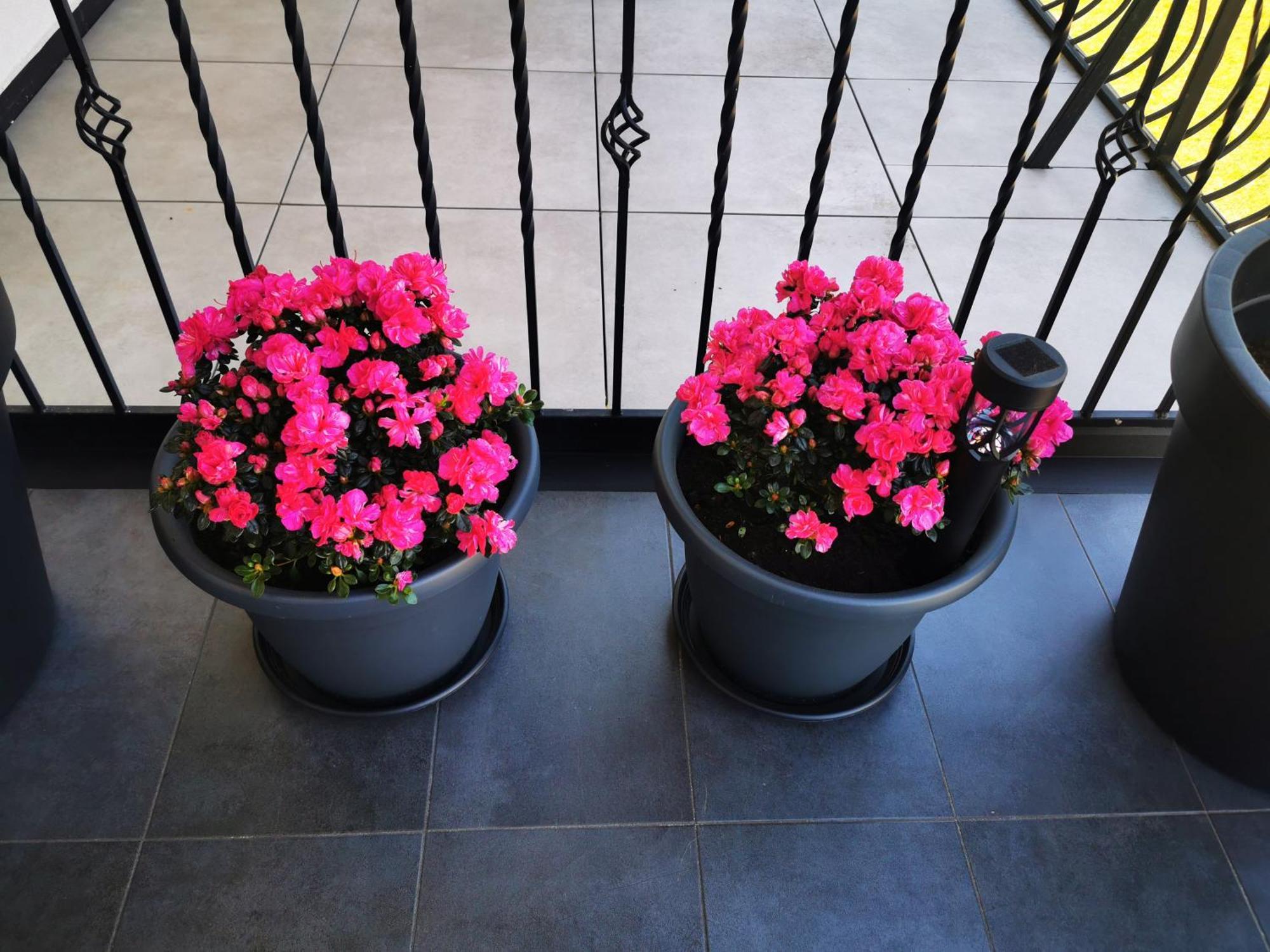 Apartment Gorski Potok Pl *